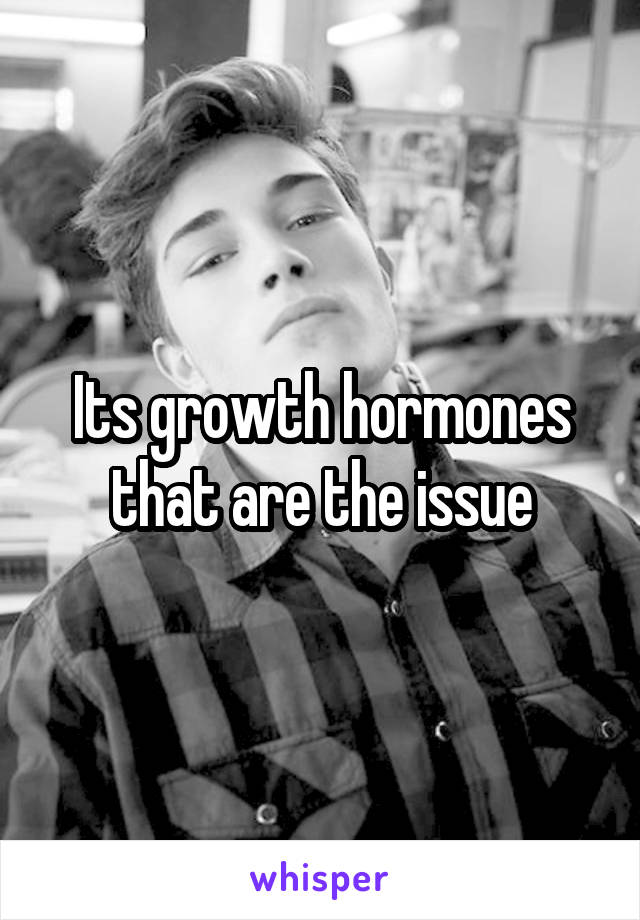 Its growth hormones that are the issue