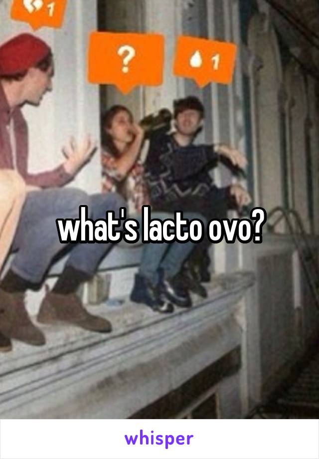 what's lacto ovo?