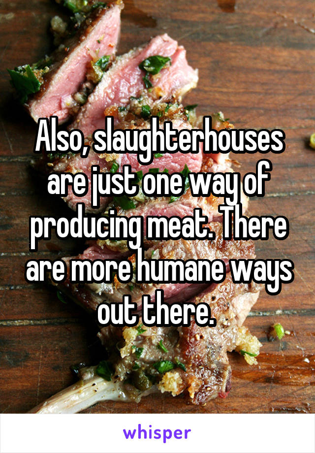 Also, slaughterhouses are just one way of producing meat. There are more humane ways out there. 