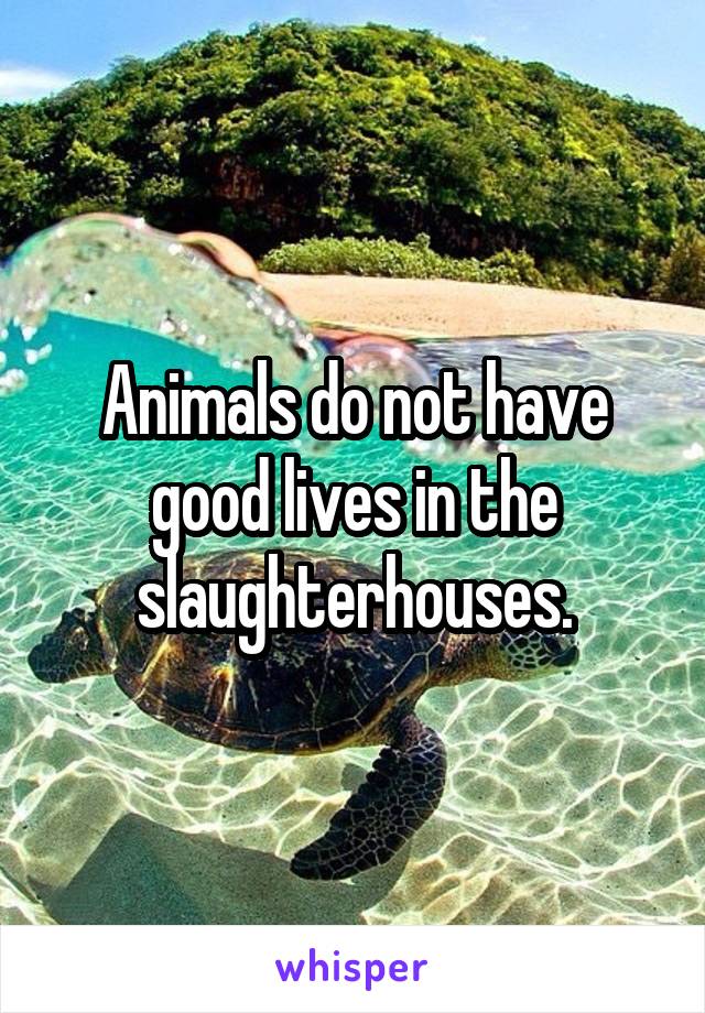 Animals do not have good lives in the slaughterhouses.