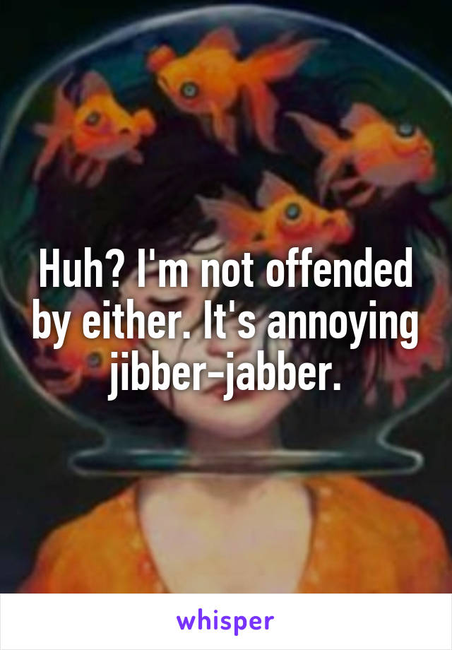 Huh? I'm not offended by either. It's annoying jibber-jabber.