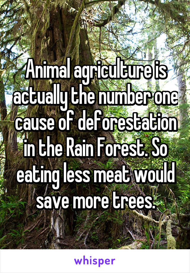 Animal agriculture is actually the number one cause of deforestation in the Rain Forest. So eating less meat would save more trees.