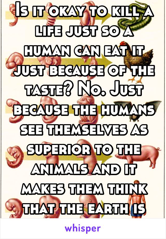 Is it okay to kill a life just so a human can eat it just because of the taste? No. Just because the humans see themselves as superior to the animals and it makes them think that the earth is theirs. 