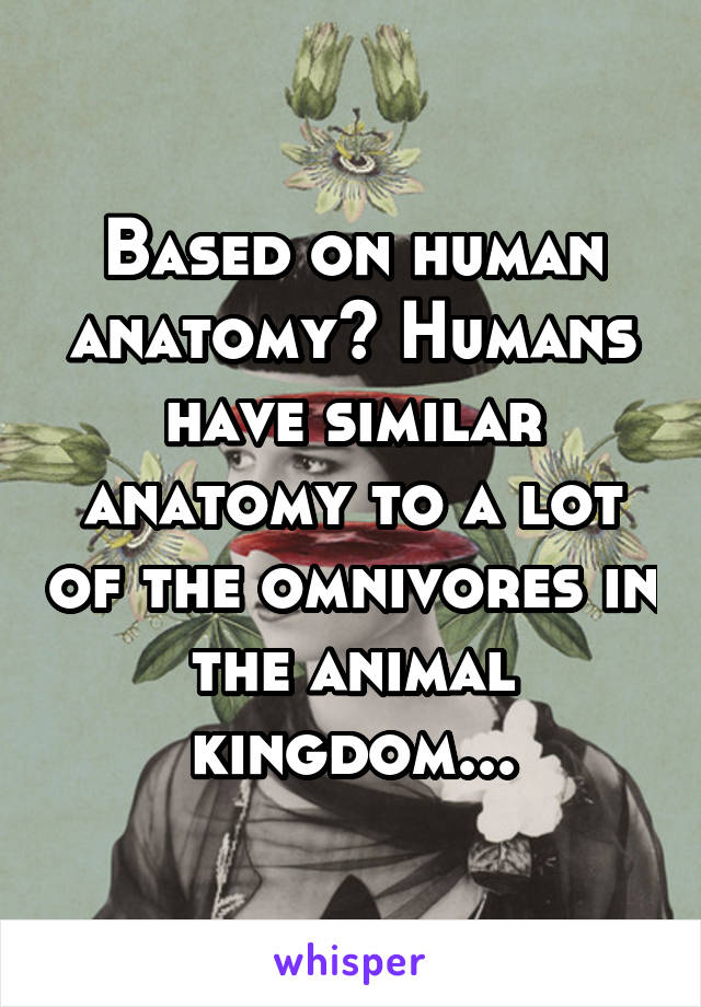 Based on human anatomy? Humans have similar anatomy to a lot of the omnivores in the animal kingdom...