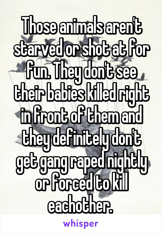 Those animals aren't starved or shot at for fun. They don't see their babies killed right in front of them and they definitely don't get gang raped nightly or forced to kill eachother. 