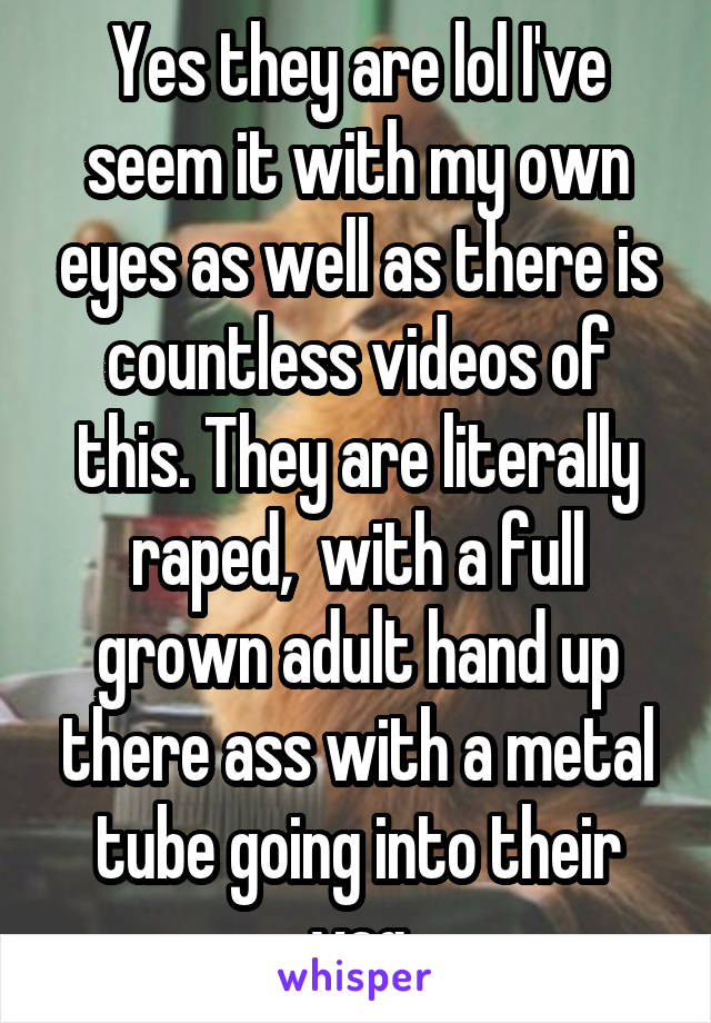 Yes they are lol I've seem it with my own eyes as well as there is countless videos of this. They are literally raped,  with a full grown adult hand up there ass with a metal tube going into their vag