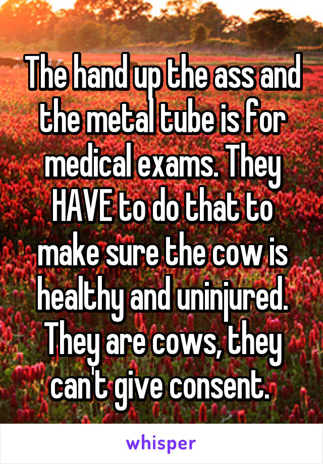 The hand up the ass and the metal tube is for medical exams. They HAVE to do that to make sure the cow is healthy and uninjured. They are cows, they can't give consent. 