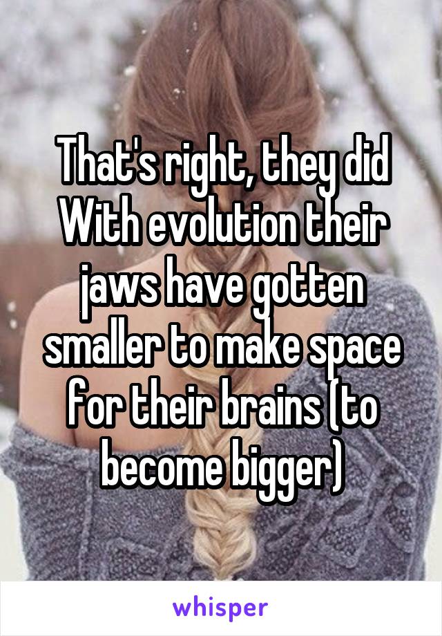 That's right, they did
With evolution their jaws have gotten smaller to make space for their brains (to become bigger)