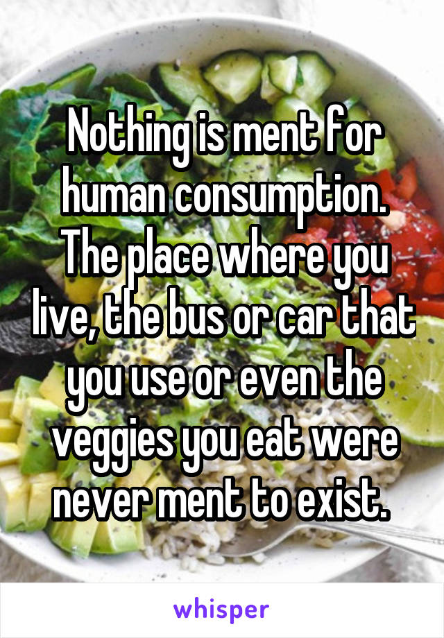 Nothing is ment for human consumption. The place where you live, the bus or car that you use or even the veggies you eat were never ment to exist. 