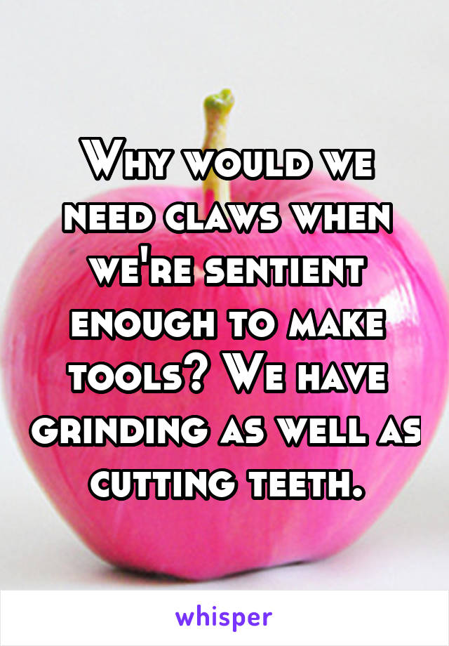 Why would we need claws when we're sentient enough to make tools? We have grinding as well as cutting teeth.