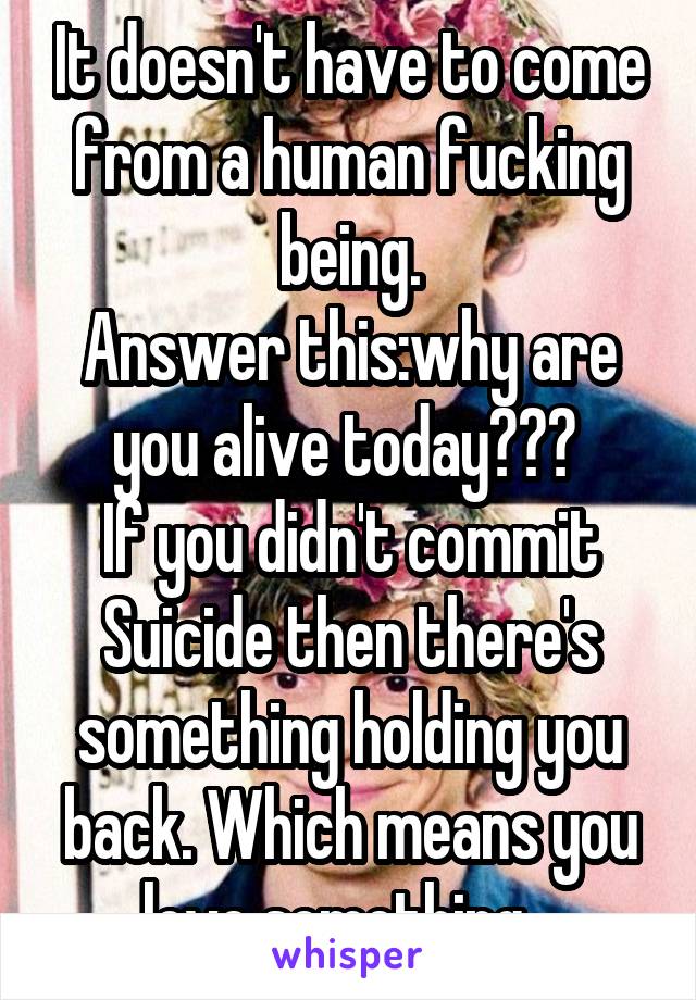 It doesn't have to come from a human fucking being.
Answer this:why are you alive today??? 
If you didn't commit Suicide then there's something holding you back. Which means you love something...