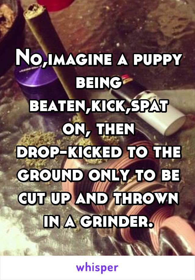 No,imagine a puppy being beaten,kick,spat on, then drop-kicked to the ground only to be cut up and thrown in a grinder.