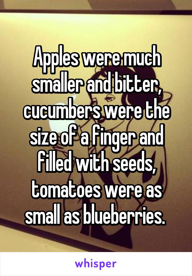 Apples were much smaller and bitter, cucumbers were the size of a finger and filled with seeds, tomatoes were as small as blueberries. 