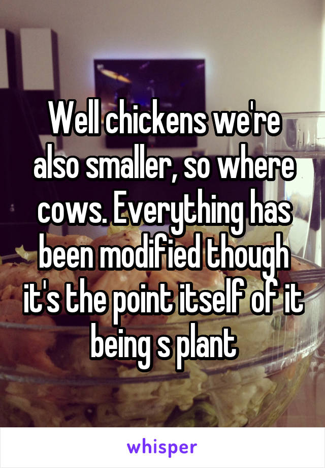 Well chickens we're also smaller, so where cows. Everything has been modified though it's the point itself of it being s plant