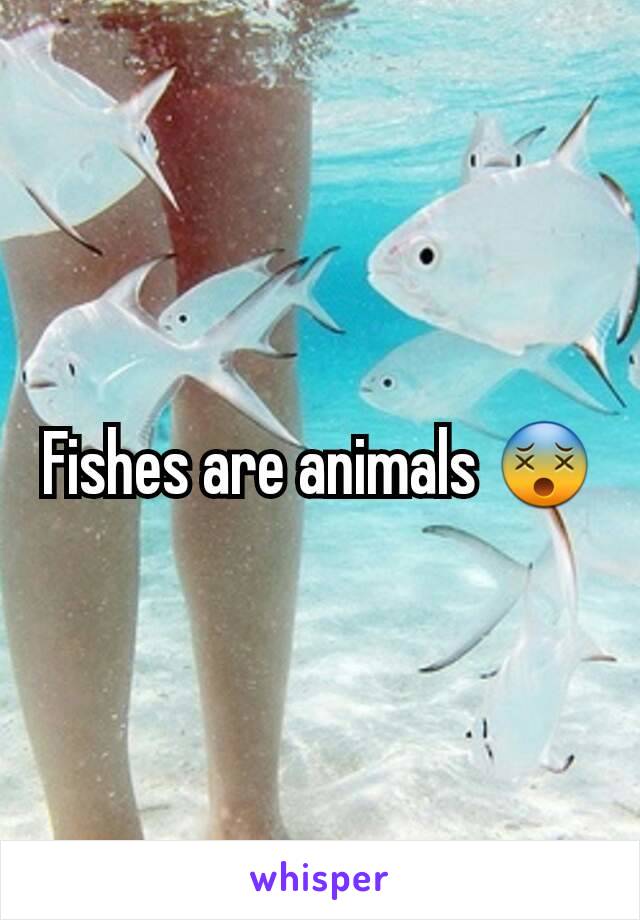 Fishes are animals 😵