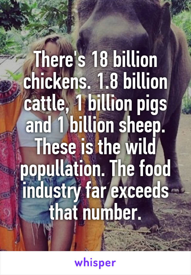 There's 18 billion chickens. 1.8 billion cattle, 1 billion pigs and 1 billion sheep. These is the wild popullation. The food industry far exceeds that number.