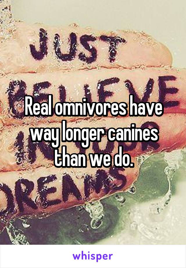 Real omnivores have way longer canines than we do.