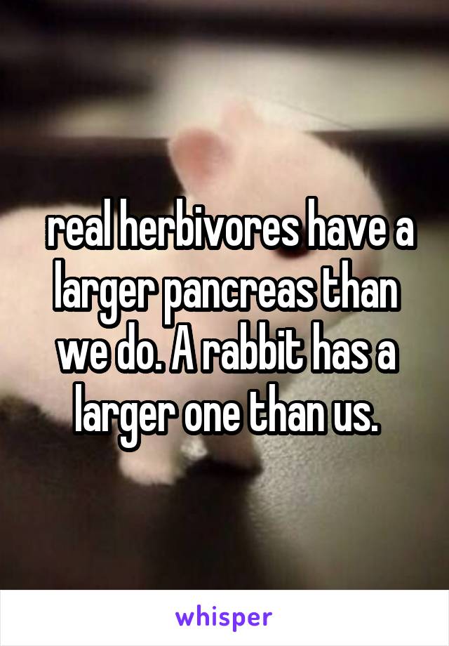  real herbivores have a larger pancreas than we do. A rabbit has a larger one than us.