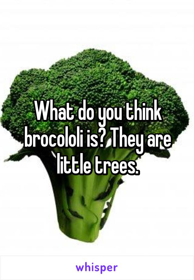 What do you think brocololi is? They are little trees.