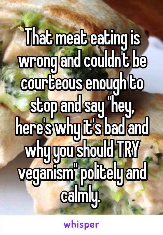 That meat eating is wrong and couldn't be courteous enough to stop and say "hey, here's why it's bad and why you should TRY veganism" politely and calmly. 