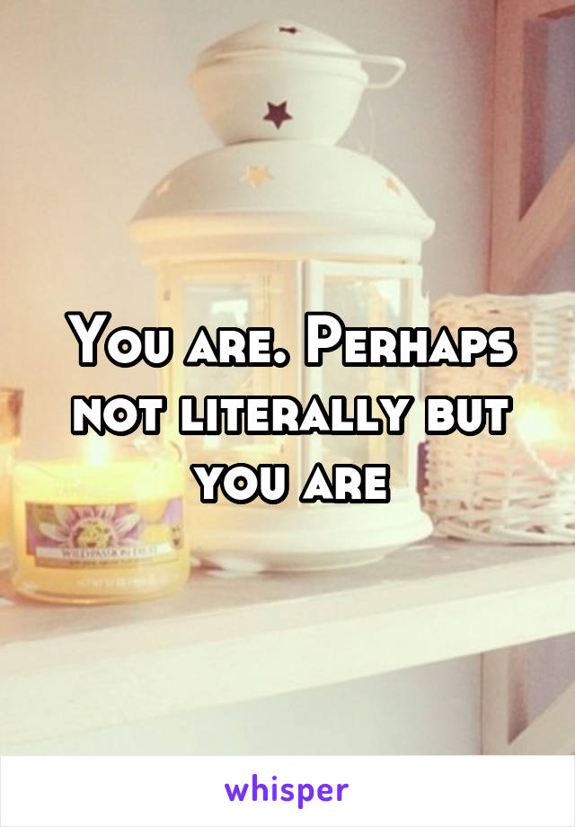 You are. Perhaps not literally but you are