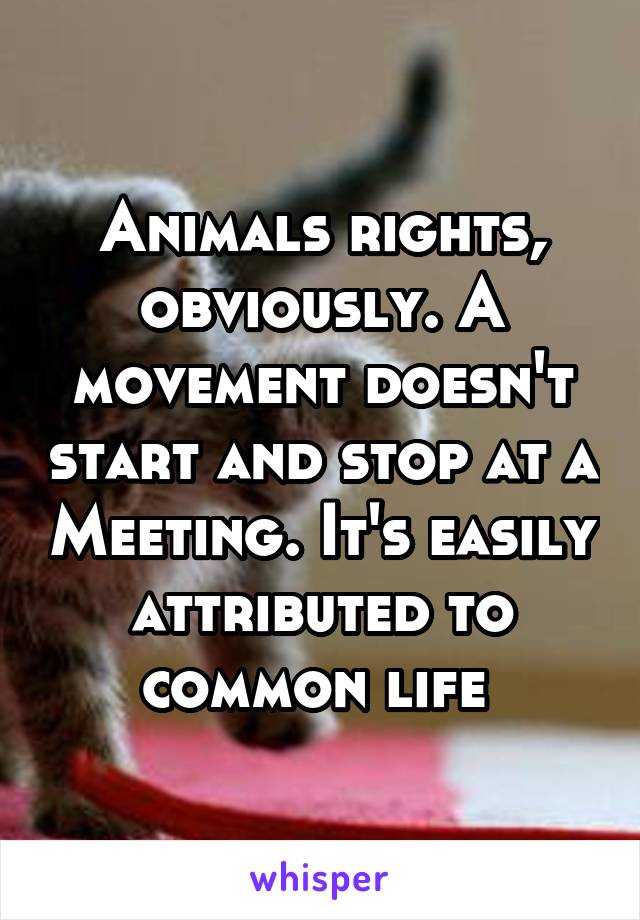 Animals rights, obviously. A movement doesn't start and stop at a Meeting. It's easily attributed to common life 