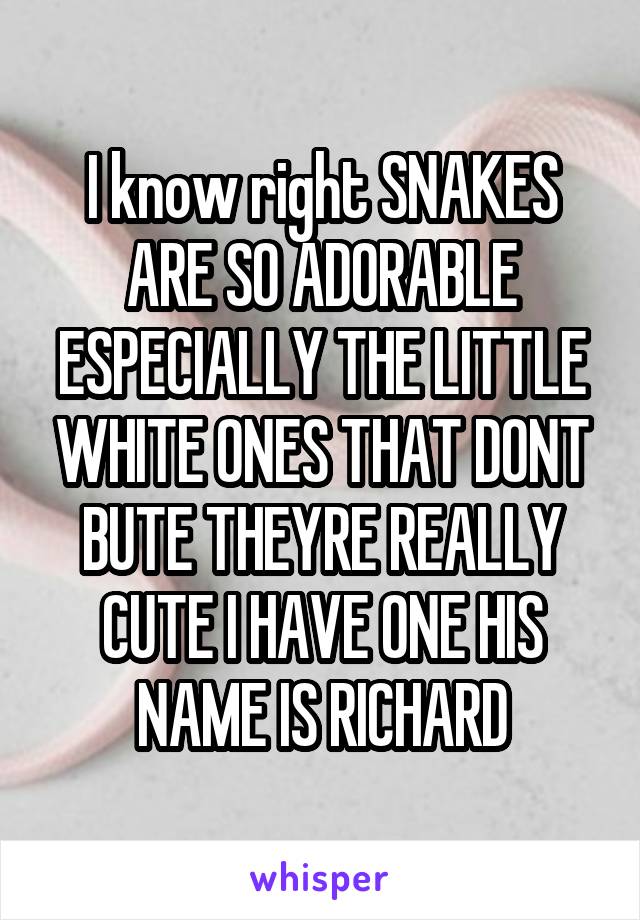 I know right SNAKES ARE SO ADORABLE ESPECIALLY THE LITTLE WHITE ONES THAT DONT BUTE THEYRE REALLY CUTE I HAVE ONE HIS NAME IS RICHARD
