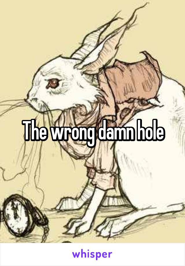 The wrong damn hole