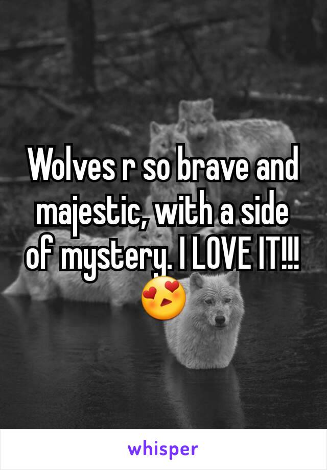 Wolves r so brave and majestic, with a side of mystery. I LOVE IT!!! 😍