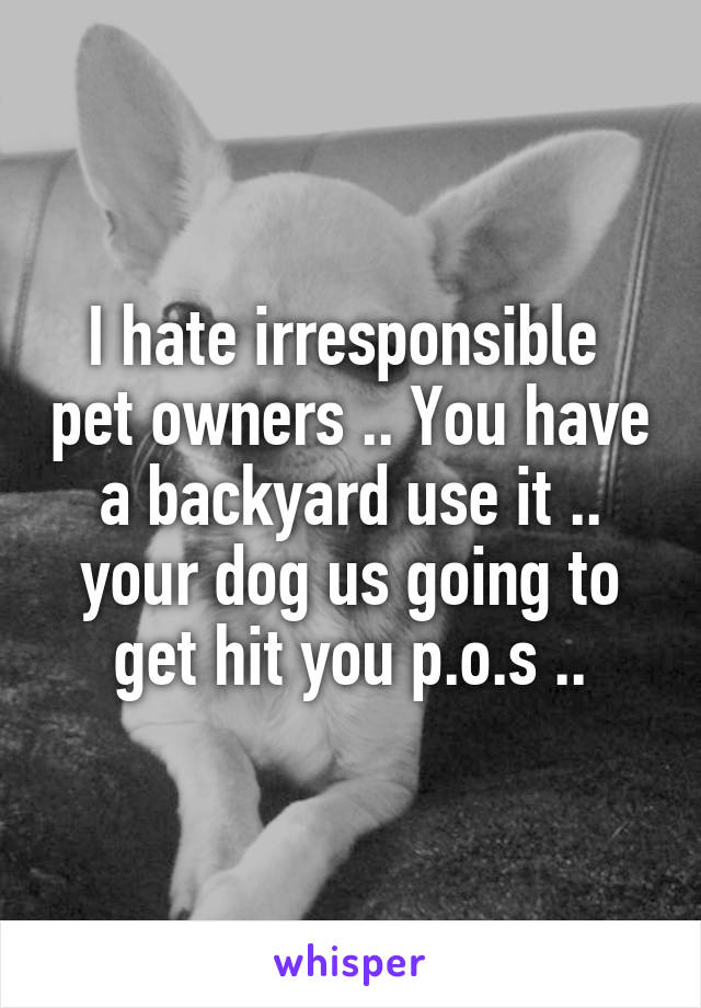 I hate irresponsible  pet owners .. You have a backyard use it .. your dog us going to get hit you p.o.s ..