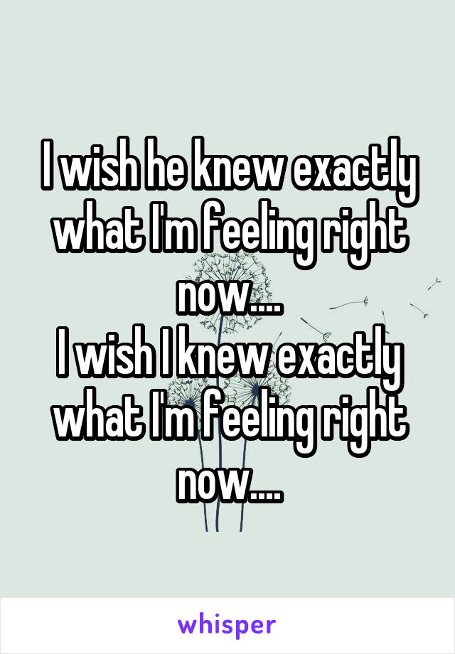 I wish he knew exactly what I'm feeling right now....
I wish I knew exactly what I'm feeling right now....