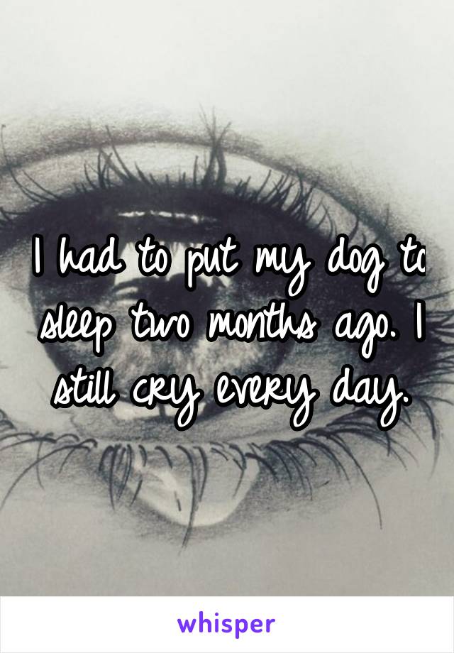 I had to put my dog to sleep two months ago. I still cry every day.