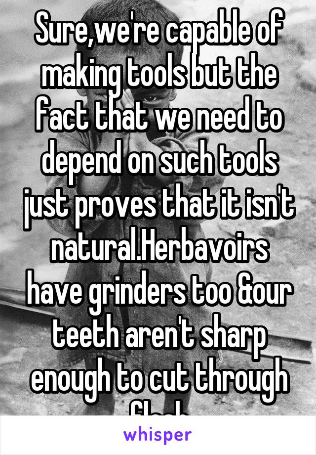 Sure,we're capable of making tools but the fact that we need to depend on such tools just proves that it isn't natural.Herbavoirs have grinders too &our teeth aren't sharp enough to cut through flesh