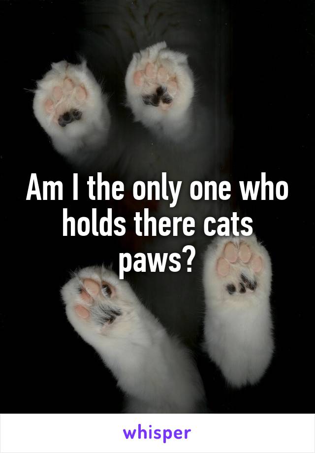 Am I the only one who holds there cats paws?