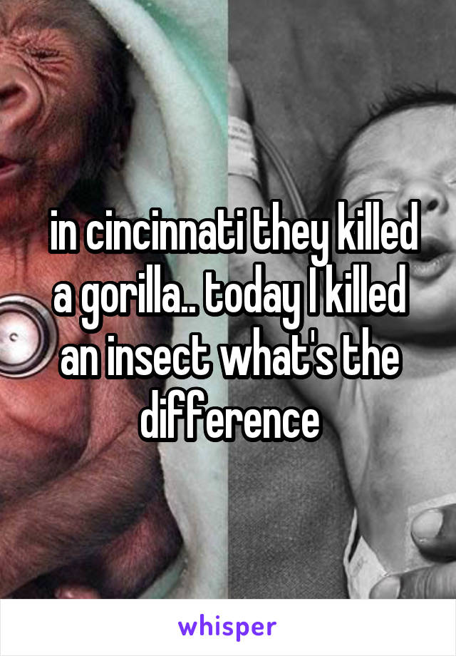  in cincinnati they killed a gorilla.. today I killed an insect what's the difference