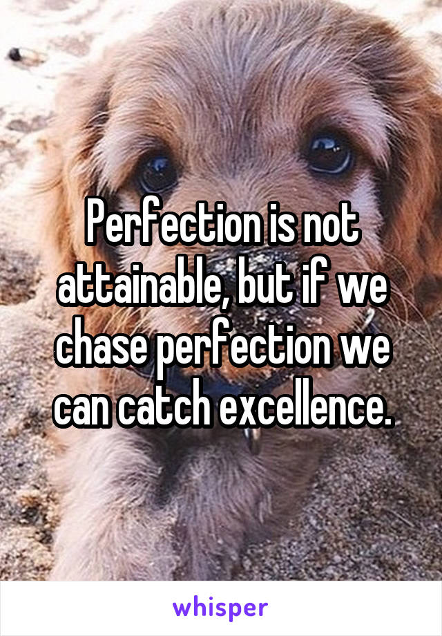 Perfection is not attainable, but if we chase perfection we can catch excellence.