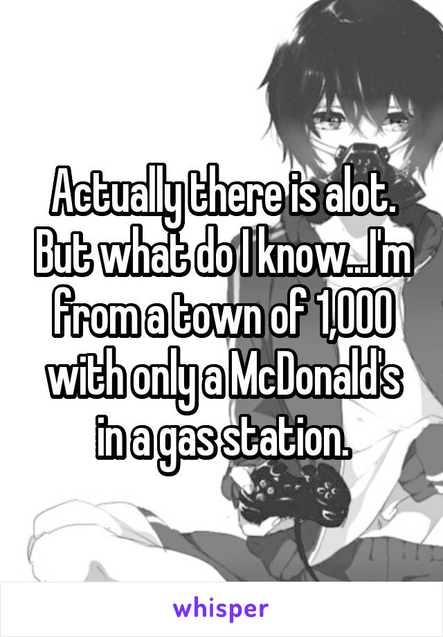 Actually there is alot. But what do I know...I'm from a town of 1,000 with only a McDonald's in a gas station.