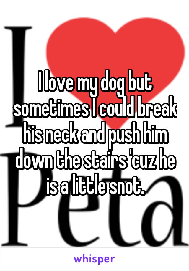 I love my dog but sometimes I could break his neck and push him down the stairs 'cuz he is a little snot.