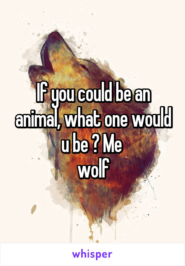 If you could be an animal, what one would u be ? Me 
wolf