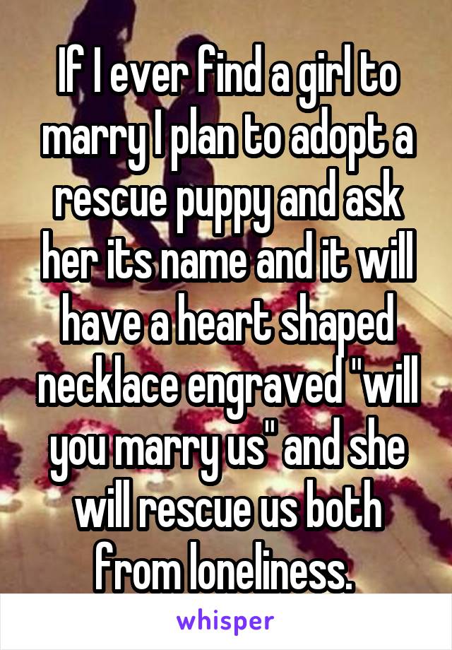 If I ever find a girl to marry I plan to adopt a rescue puppy and ask her its name and it will have a heart shaped necklace engraved "will you marry us" and she will rescue us both from loneliness. 