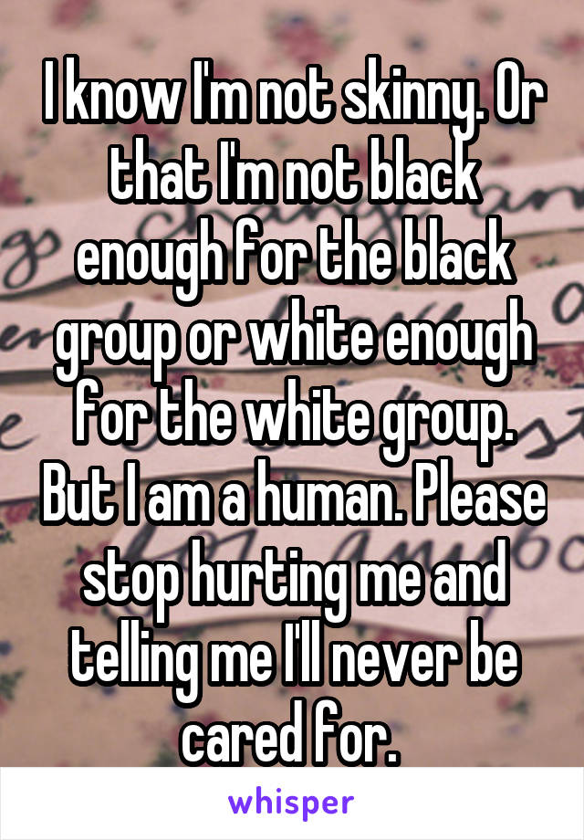 I know I'm not skinny. Or that I'm not black enough for the black group or white enough for the white group. But I am a human. Please stop hurting me and telling me I'll never be cared for. 