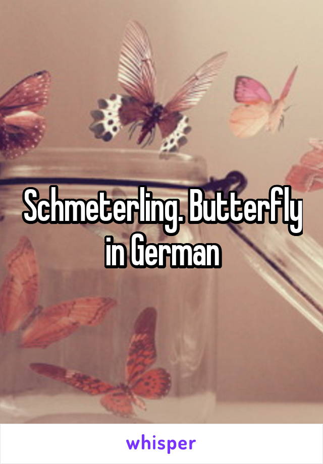 Schmeterling. Butterfly in German