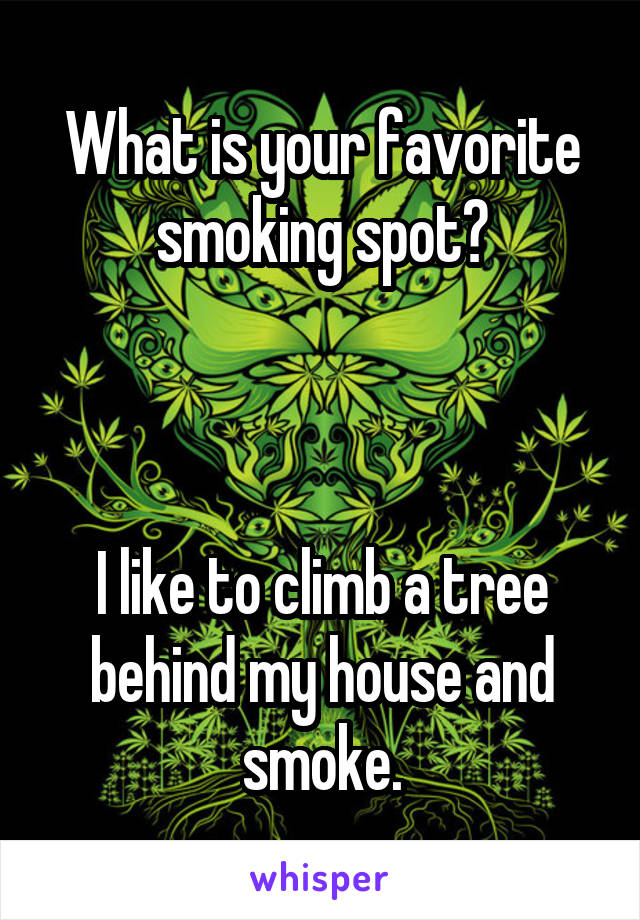 What is your favorite smoking spot?



I like to climb a tree behind my house and smoke.