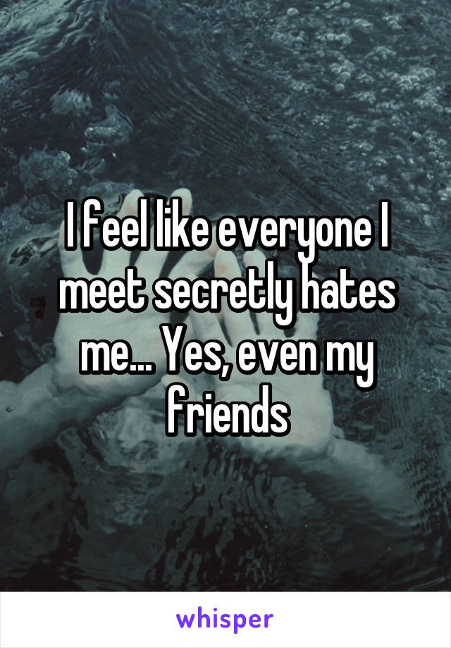 I feel like everyone I meet secretly hates me... Yes, even my friends