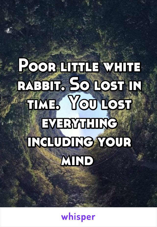 Poor little white rabbit. So lost in time.  You lost everything including your mind 