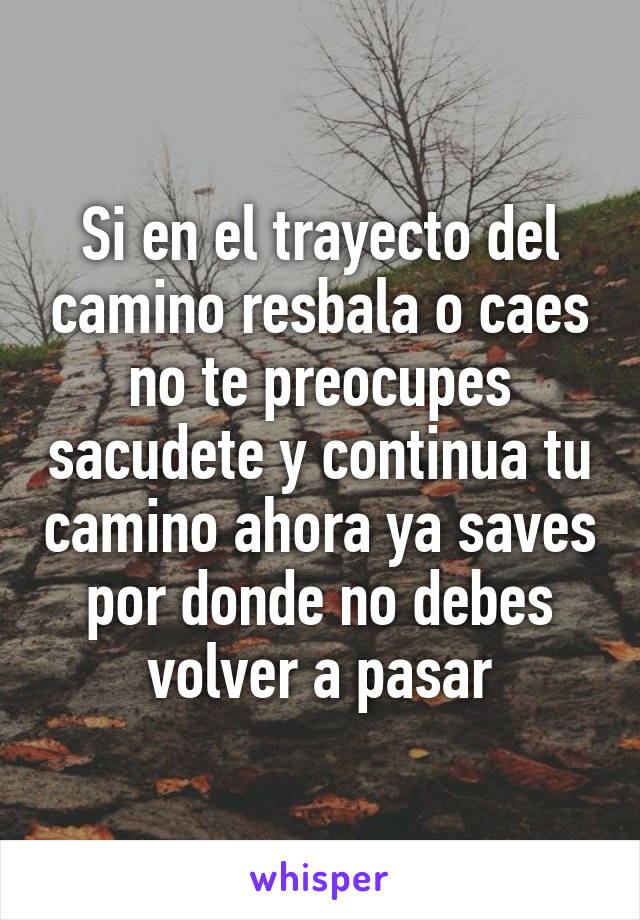 Si en el trayecto del camino resbala o caes no te preocupes sacudete y continua tu camino ahora ya saves por donde no debes volver a pasar