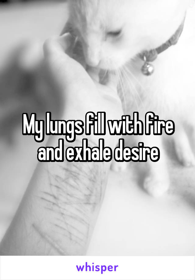 My lungs fill with fire and exhale desire