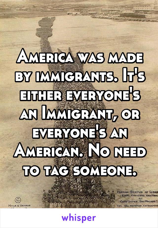 America was made by immigrants. It's either everyone's an Immigrant, or everyone's an American. No need to tag someone.