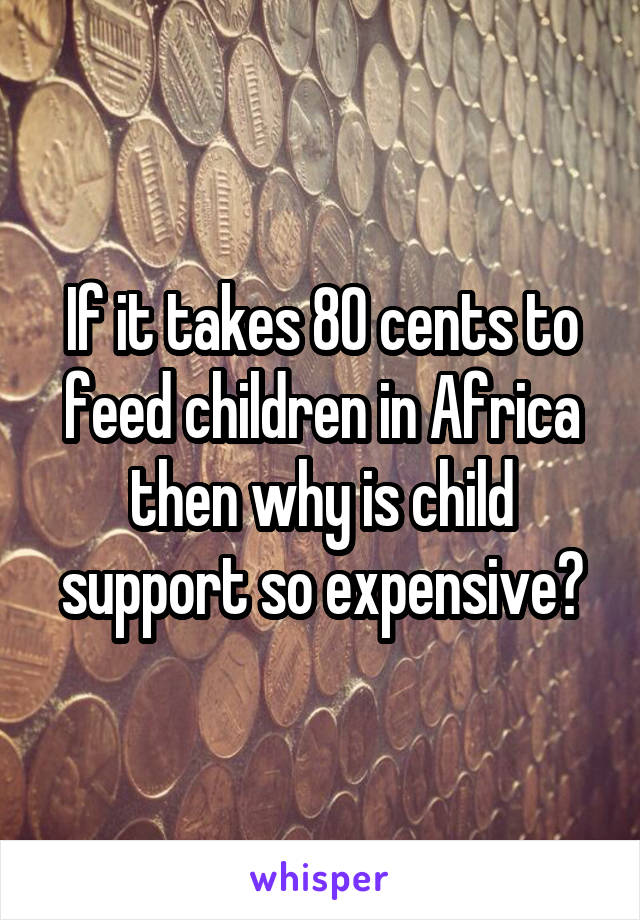 If it takes 80 cents to feed children in Africa then why is child support so expensive?