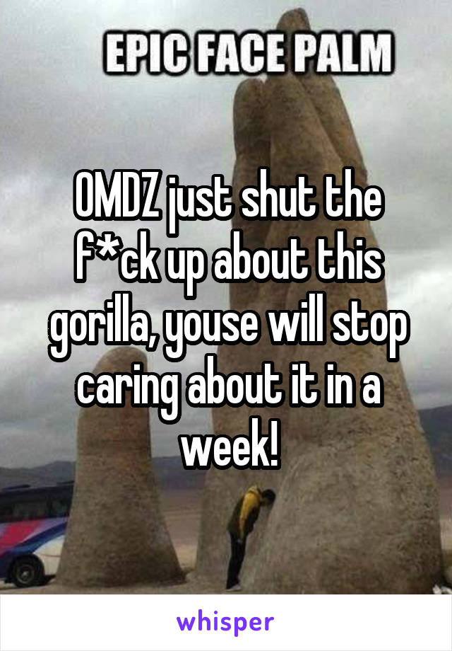 OMDZ just shut the f*ck up about this gorilla, youse will stop caring about it in a week!